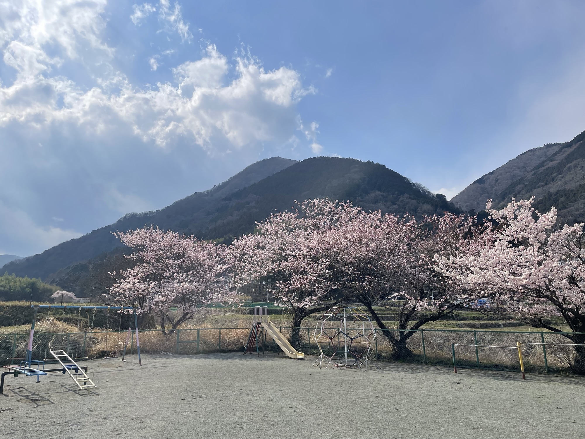 子育て、神関係、祝福
