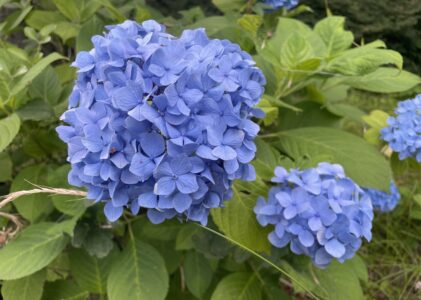 父の喜ぶことを